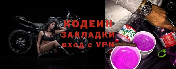 гашик Дмитров